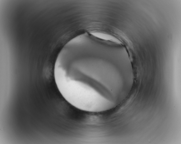 X0000091580073200709171123