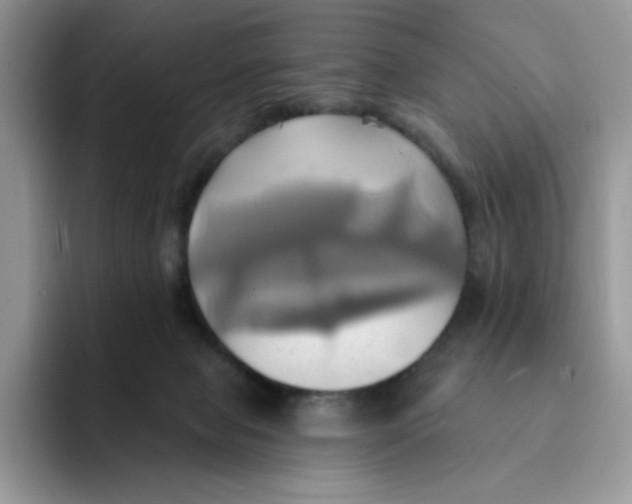 X0000091580077200709171123