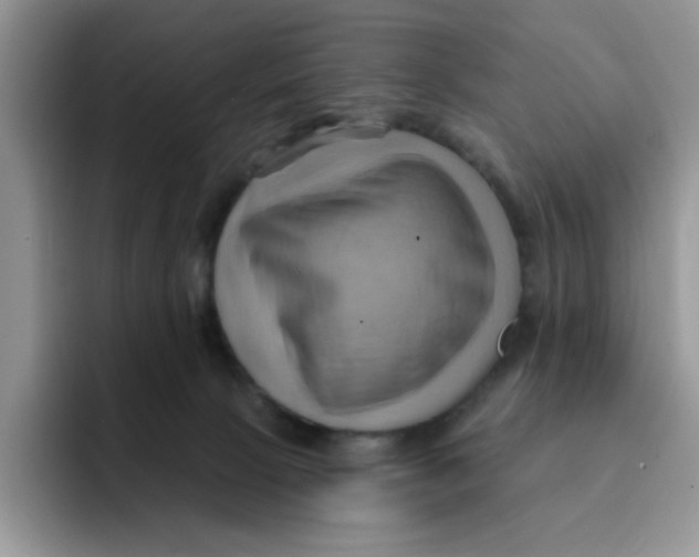 X0000091580081200709171123