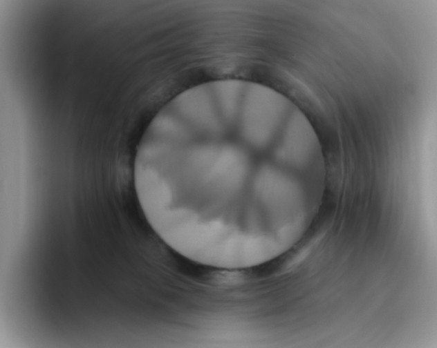 X0000091580085200709171123