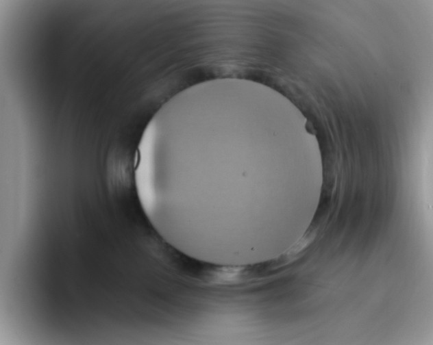 X0000091580090200709171124