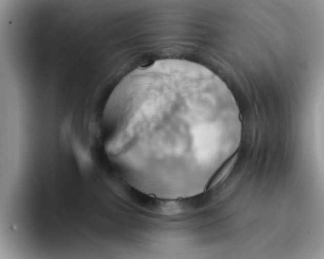 X0000091580091200709171124