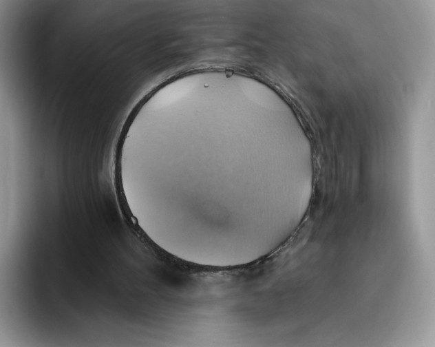 X0000091580100200709171123