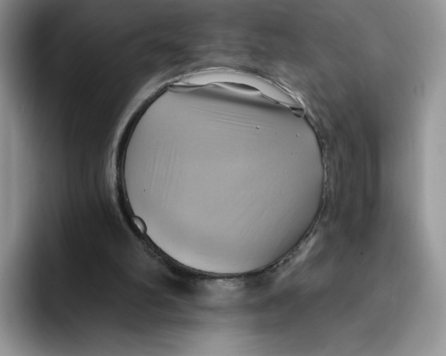 X0000091580102200709171123