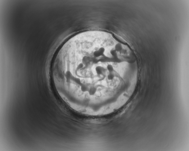 X0000091580103200709171123