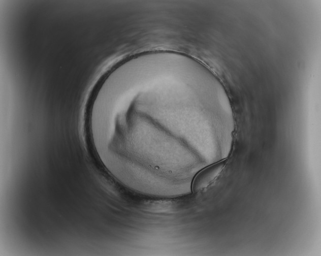 X0000091580104200709171123