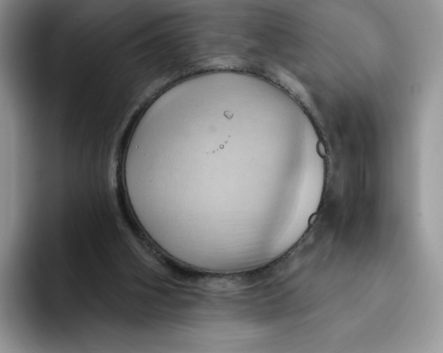 X0000091580106200709171123