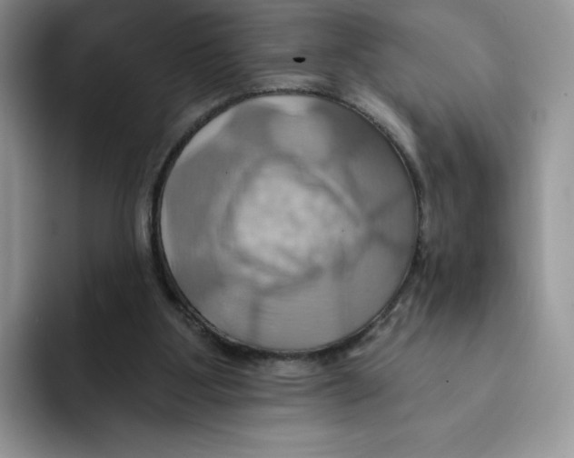 X0000091580107200709171123
