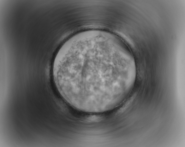 X0000091580111200709171123