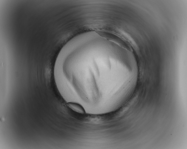 X0000091580113200709171123