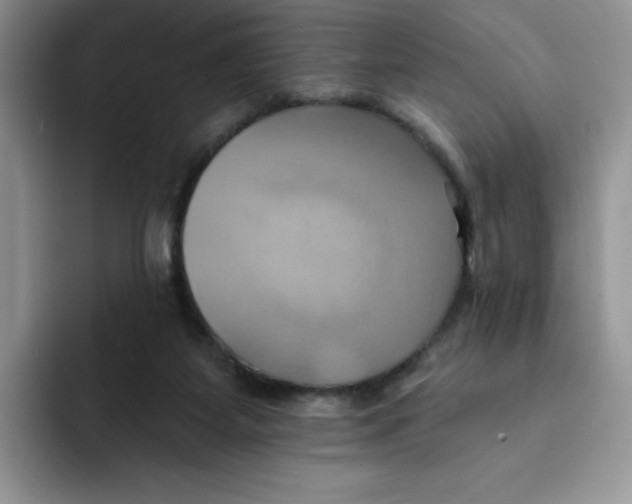 X0000091580115200709171123