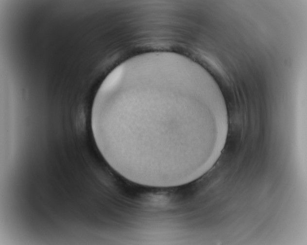 X0000091580120200709171123
