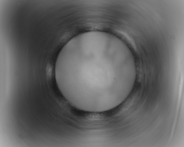 X0000091580123200709171123
