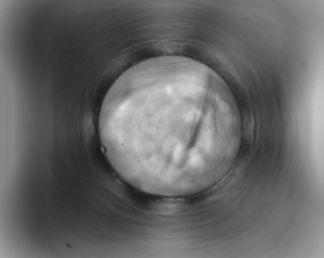 X0000091580128200709171123