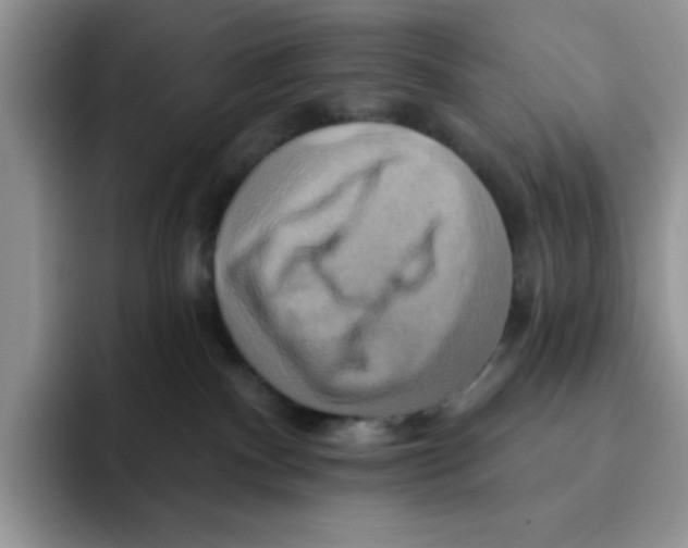 X0000091580140200709171123