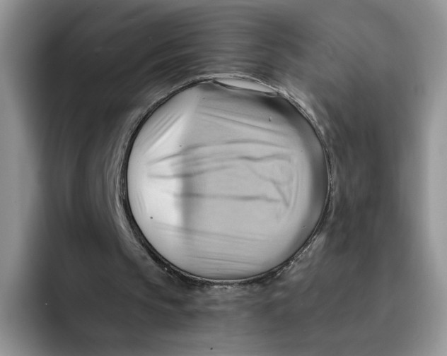 X0000091580145200709171122
