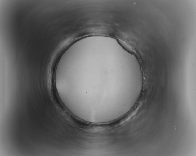 X0000091580149200709171122