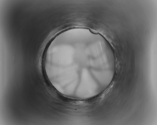 X0000091580151200709171122