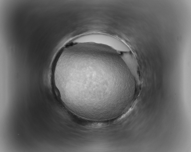 X0000091580152200709171122