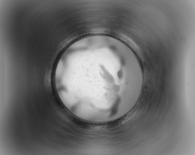X0000091580155200709171122