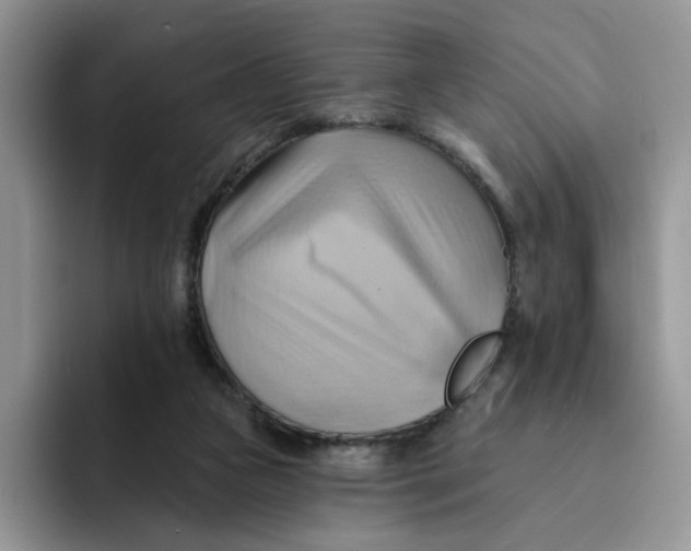 X0000091580161200709171122