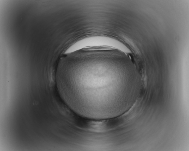 X0000091580170200709171122