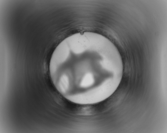 X0000091580173200709171122