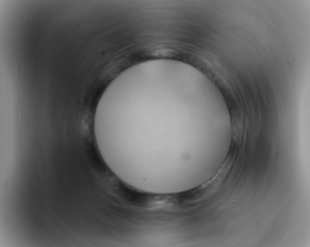 X0000091580175200709171122