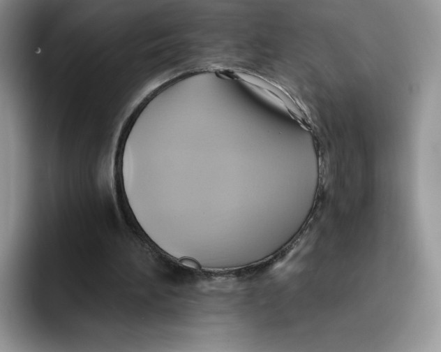 X0000091580196200709171122