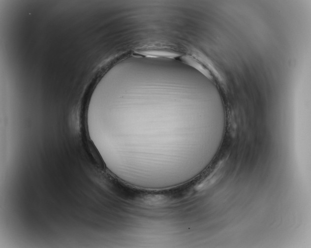 X0000091580203200709171122
