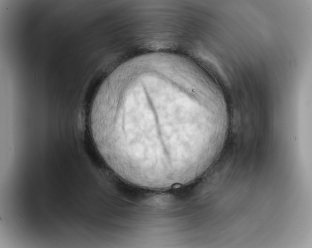 X0000091580210200709171122