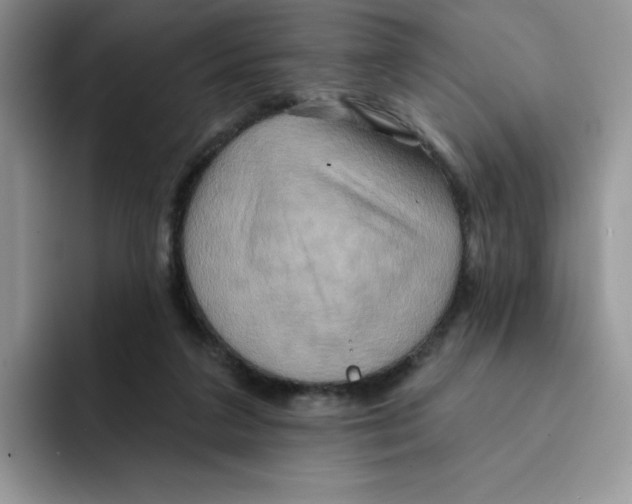 X0000091580211200709171122