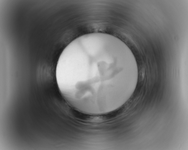 X0000091580218200709171122