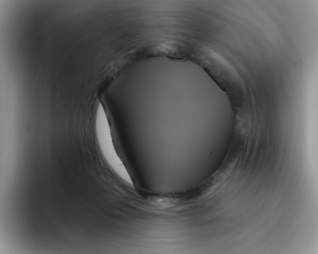 X0000091580223200709171122