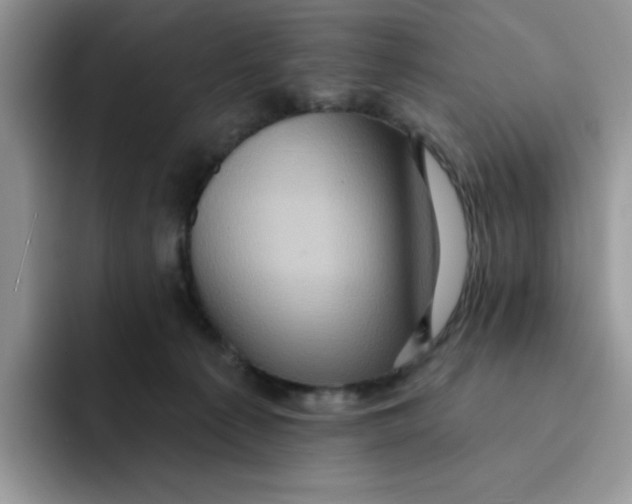 X0000091580225200709171122