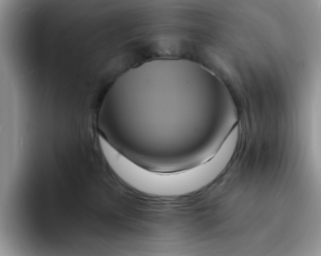 X0000091580233200709171121