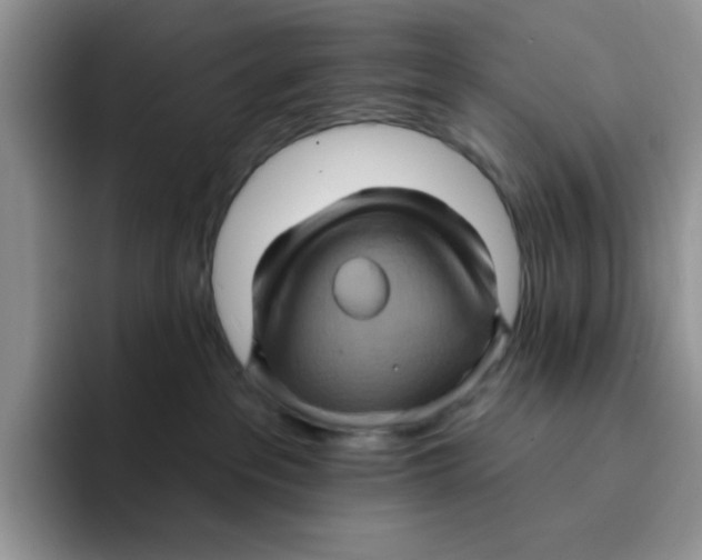 X0000091580237200709171121