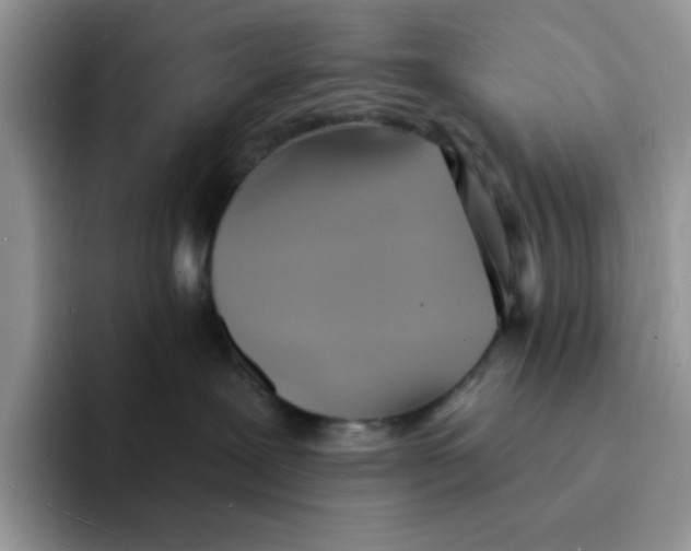 X0000091580239200709171121