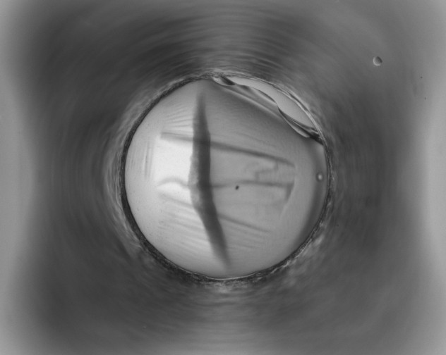 X0000091580241200709171121