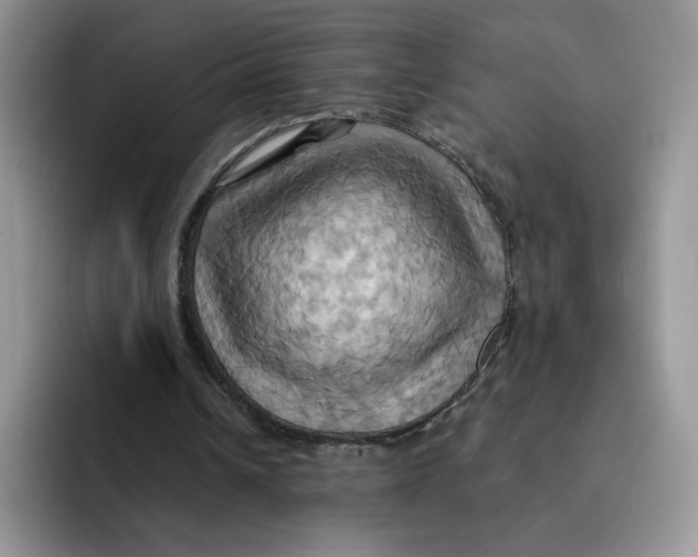 X0000091580242200709171121