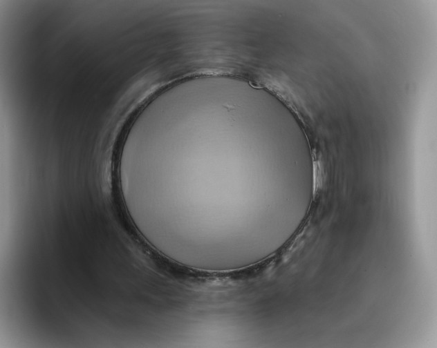 X0000091580243200709171121