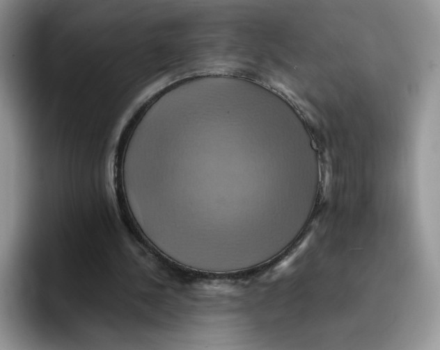X0000091580244200709171121