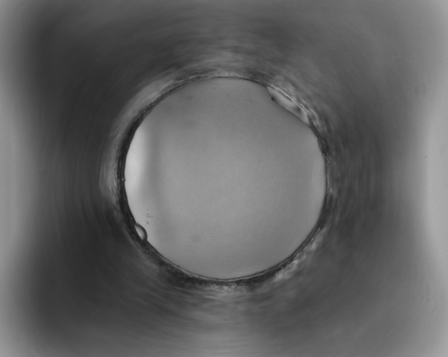 X0000091580245200709171121
