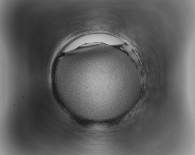 X0000091580248200709171121