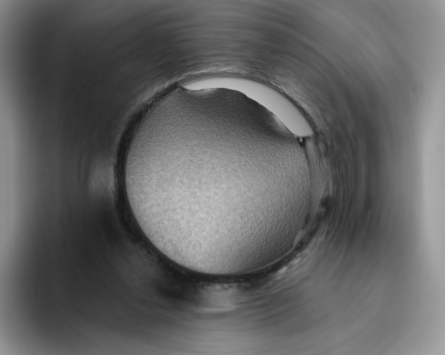 X0000091580252200709171121