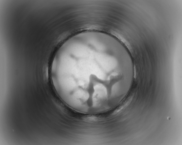 X0000091580253200709171121