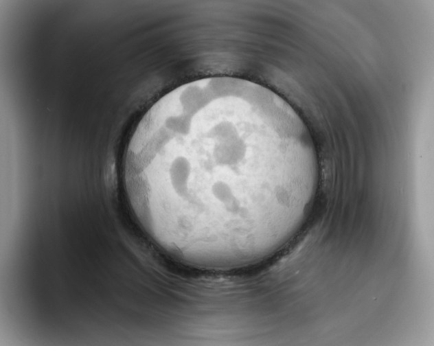 X0000091580254200709171121