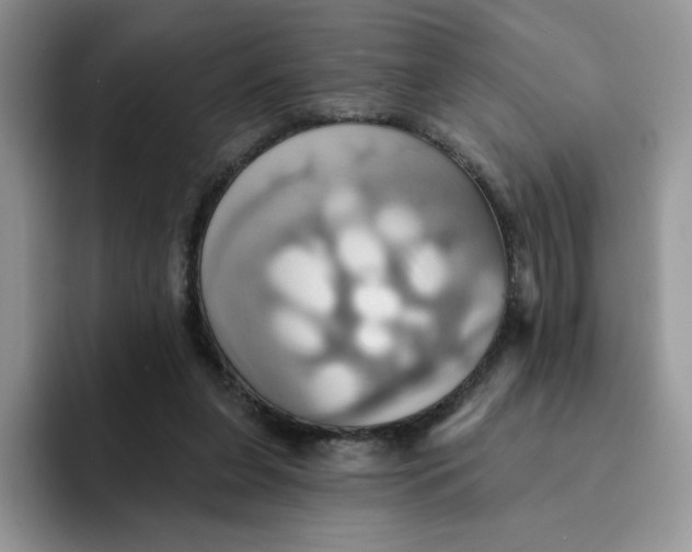 X0000091580255200709171121
