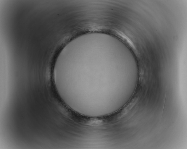 X0000091580257200709171121