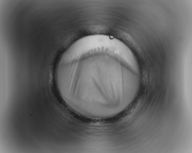X0000091580259200709171121